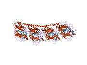 PDB 1sa1 EBI.jpg