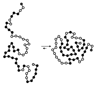 <span class="mw-page-title-main">Hydrophobic collapse</span> Process in protein folding