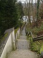 Ein Treppenweg, der in die idyllische Au und zu den Teichanlagen führt.