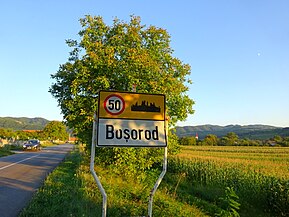 Boșorod