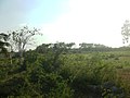 Siniltún, Yucatán.