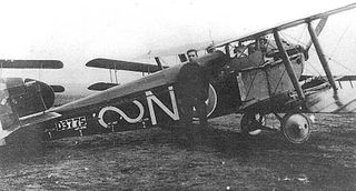 <span class="mw-page-title-main">No. 87 Squadron RAF</span> Defunct flying squadron of the Royal Air Force