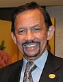 Hassanal Bolkiah, sultan du Brunei