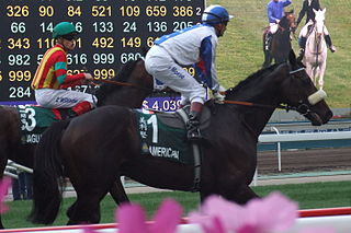 Handicap (horse racing) A horse race, carrying different weights