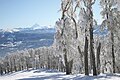 Veduta di un paesaggio nel cerro o vetta Chapelco