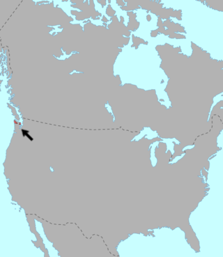 <span class="mw-page-title-main">Chimakuan languages</span> Native American language family