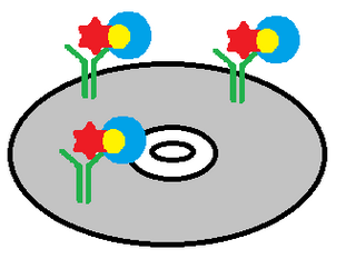 <span class="mw-page-title-main">CD/DVD based immunoassay</span>