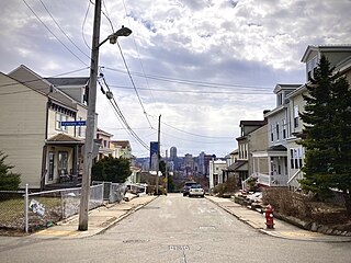 <span class="mw-page-title-main">Fineview</span> Neighborhood on Pittsburghs North Side.