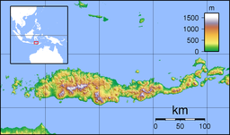 Sumba Strait is located in Flores