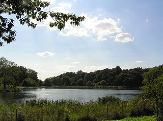 Kissena Park Public park in Queens, New York