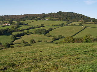 <span class="mw-page-title-main">Lambert's Castle</span> Historic hill fort in Dorset, England