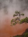 Natural iron hot spring which is one of the "Hells of Beppu"