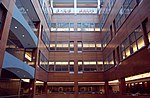 The atrium at the Willian and Anita Newman Library.