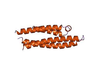 <span class="mw-page-title-main">Apolipoprotein</span> Proteins that bind lipids to transport them in body fluids