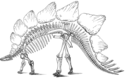 Stegosaurus sketch by Othniel Charles Marsh (1896)