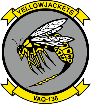 <span class="mw-page-title-main">VAQ-138</span> Military unit