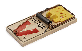 <span class="mw-page-title-main">Mousetrap</span> Animal trap used to catch and kill mice