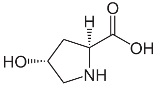 <span class="mw-page-title-main">Hydroxyproline</span> Chemical compound