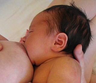 <span class="mw-page-title-main">Latch (breastfeeding)</span> The way a baby fastens onto the breast while breastfeeding