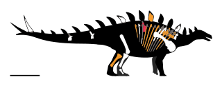 <i>Bashanosaurus</i> Extinct genus of stegosaurian dinosaurs