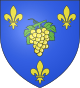 Peyriguère – Stemma