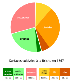 Diagramme en couleurs représentant la répartition par cultures des surfaces d'un exploitation agricole.