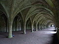 Fountains Abbey vaulted cellarium (larder)