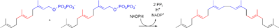 Cholesterol-Synthesis-Reaction10.png