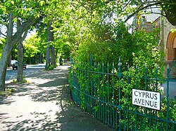 Cyprus Avenue - the street in Belfast that inspired the song. Cyprus.Ave.Belfast.JPG