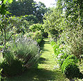 Jardin de curé du Prieuré de La Ferté Loupière, Yonne