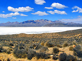 Vue de la Laguna Salinas et du Tacune en arrière-plan.