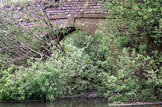 <span class="mw-page-title-main">Siston Brook</span> River in England