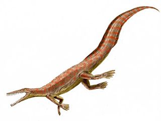 Mesosaur Extinct family of reptiles