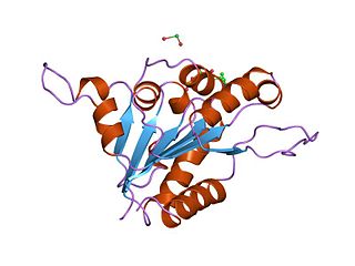 <span class="mw-page-title-main">Flavoprotein</span> Protein family