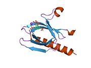 PDB 2uvm EBI.jpg