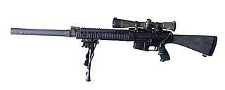 <span class="mw-page-title-main">SR-25</span> Designated marksman rifle