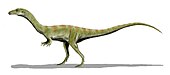 Shuvosaurus Shuvosaurus BW.jpg