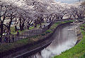 2005年4月11日 (月) 10:22時点における版のサムネイル