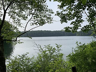 <span class="mw-page-title-main">Walden Pond</span> Pond in Concord, Massachusetts