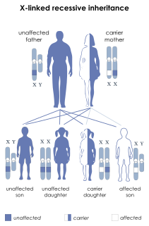 Hyper-IgM syndrome type 1 Medical condition