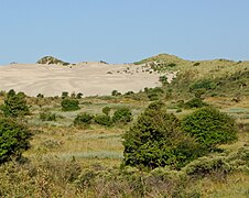 Zuid-Kennemerland National Park