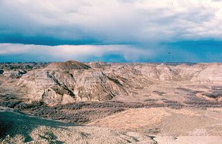 <span class="mw-page-title-main">Dinosaur Park Formation</span> Uppermost member of the Belly River Group geologic unit in Alberta, Canada