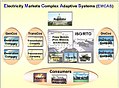 Electricity Market Complex Adaptive System, 2007