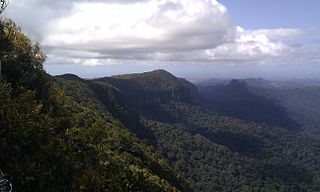 <span class="mw-page-title-main">Springbrook National Park</span> Protected area in Queensland, Australia