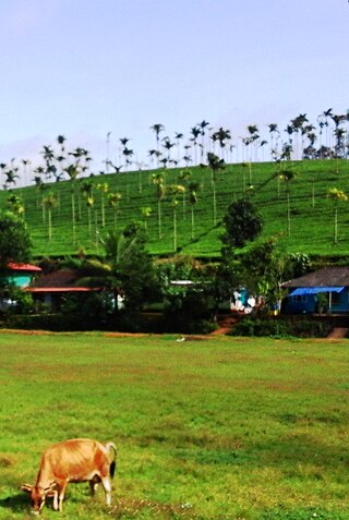 <span class="mw-page-title-main">Chundale</span> Village in Kerala, India