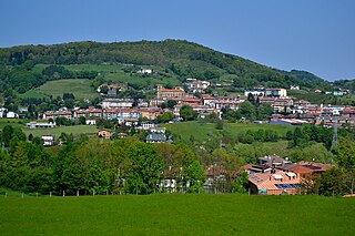 <span class="mw-page-title-main">Oiartzun</span> Municipality in Basque Country, Spain