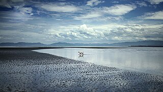 Paesaggio marino a Mindanao, con bassa marea