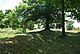 View of mounds and trees at the Southwold Earthworks