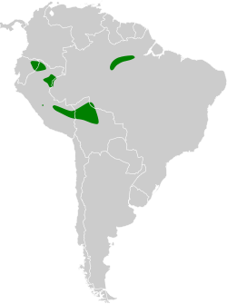 Distribución geográfica del colasuave sencillo.