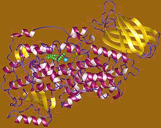 <span class="mw-page-title-main">ALOX15</span> Lipoxygenase found in humans